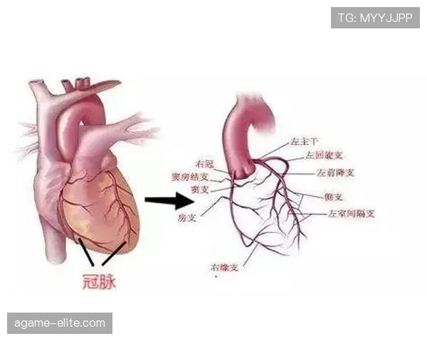 新手教学：一文读懂干扰球与封盖的区别